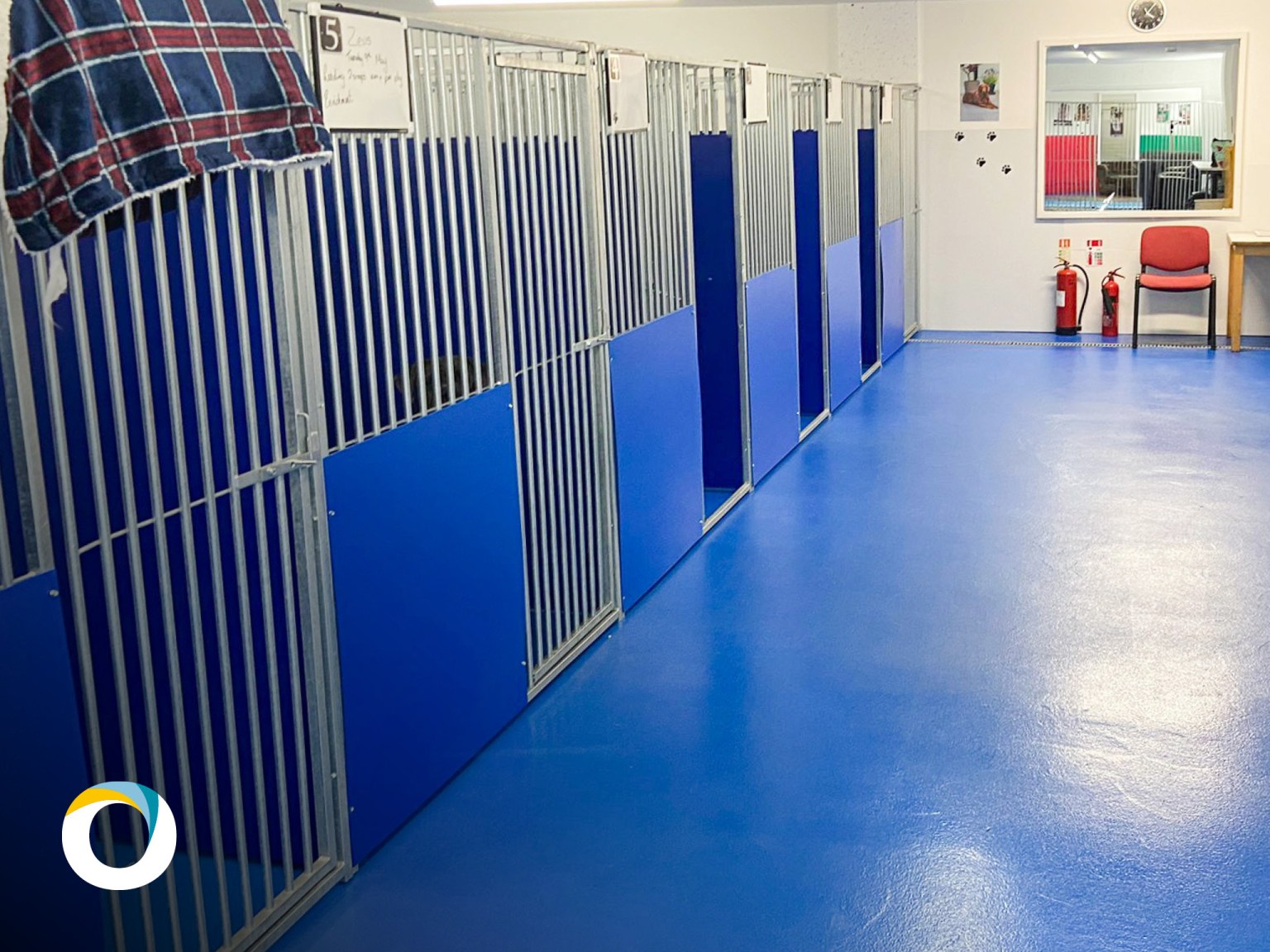 From woof to wonderful Vebro Polymers materials transform Cheshire dog