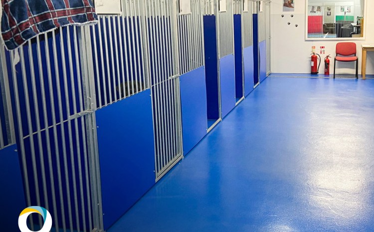  From woof to wonderful: Vebro Polymers materials transform Cheshire dog holiday boarding kennels 